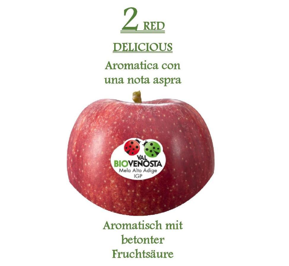 Ferienwohnungen Kaltenbachhof - Urlaub Auf Dem Biobauernhof Parcines Εξωτερικό φωτογραφία