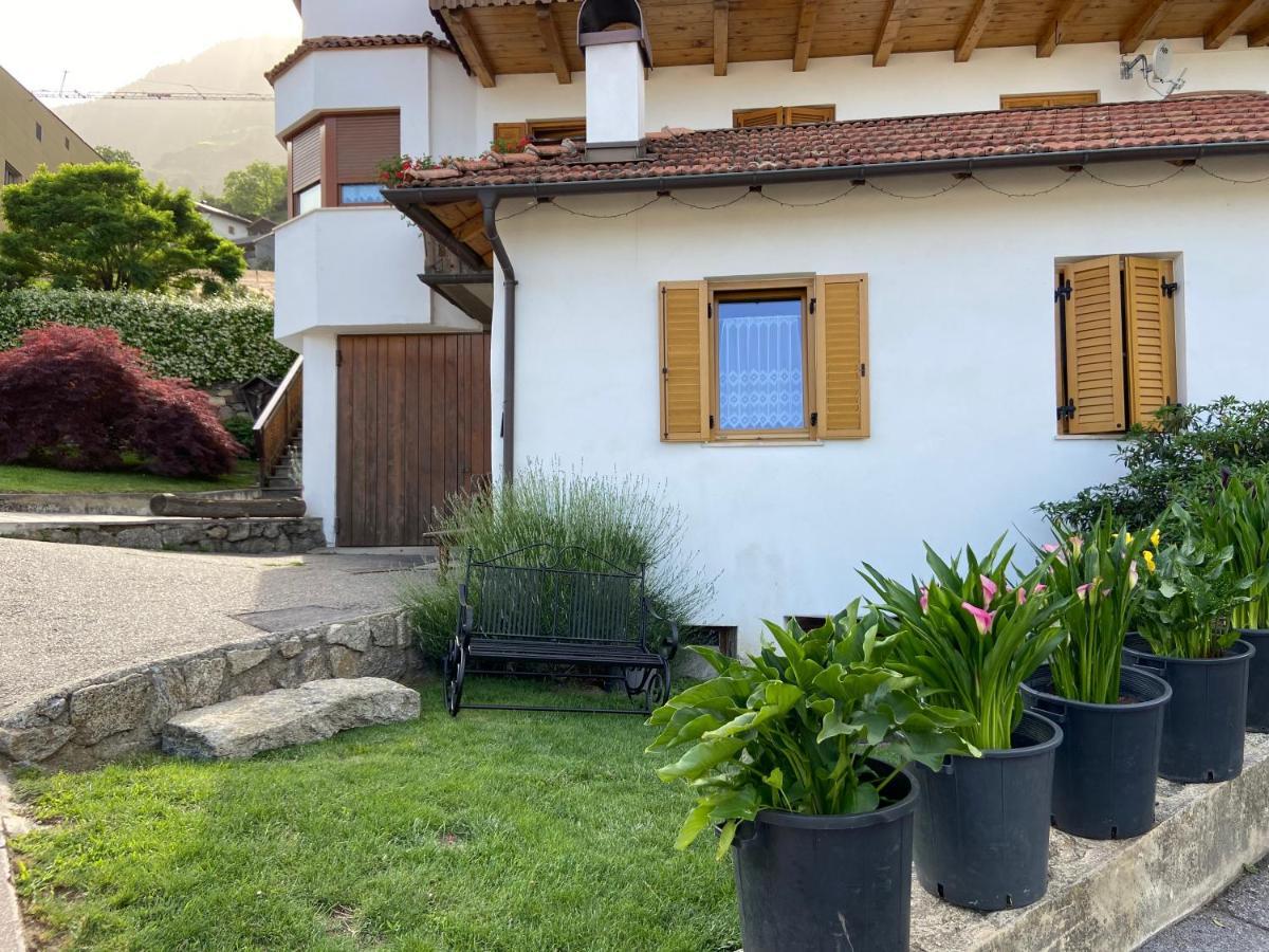 Ferienwohnungen Kaltenbachhof - Urlaub Auf Dem Biobauernhof Parcines Εξωτερικό φωτογραφία